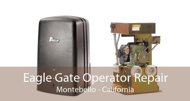 Eagle Gate Operator Repair Montebello - California